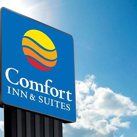 Comfort Inn & Suites Arlington Heights Bagian luar foto