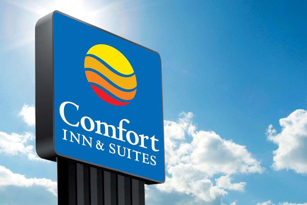 Comfort Inn & Suites Arlington Heights Bagian luar foto